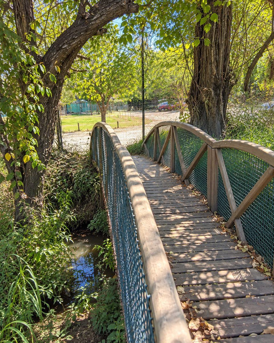 Puente de madera sobre la acequia, el espacio de investigaci&oacute;n de Bianca Stella