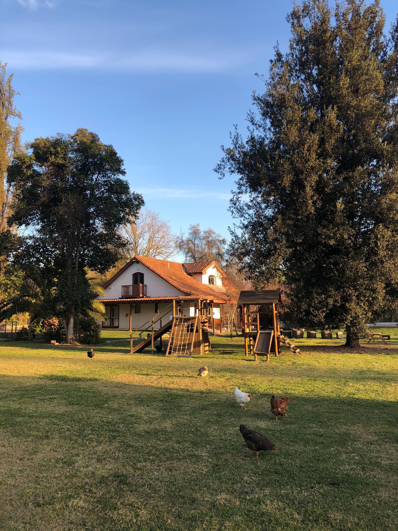 Niños explorando en Bianca Stella