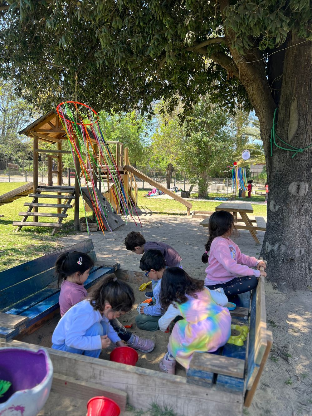 Niños explorando al aire libre